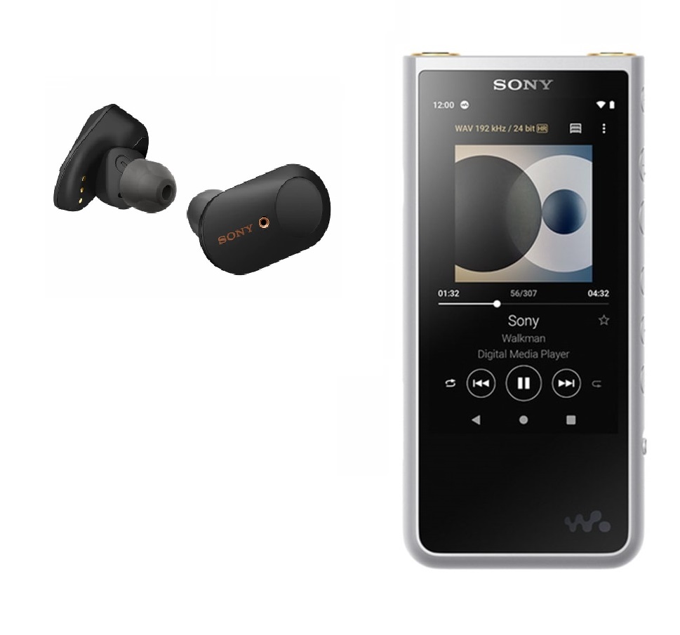 Комплект персонального аудио Sony Walkman NW-ZX507 silver + WF-1000XM3  black - купить в Перми в интернет-магазине Pult.ru